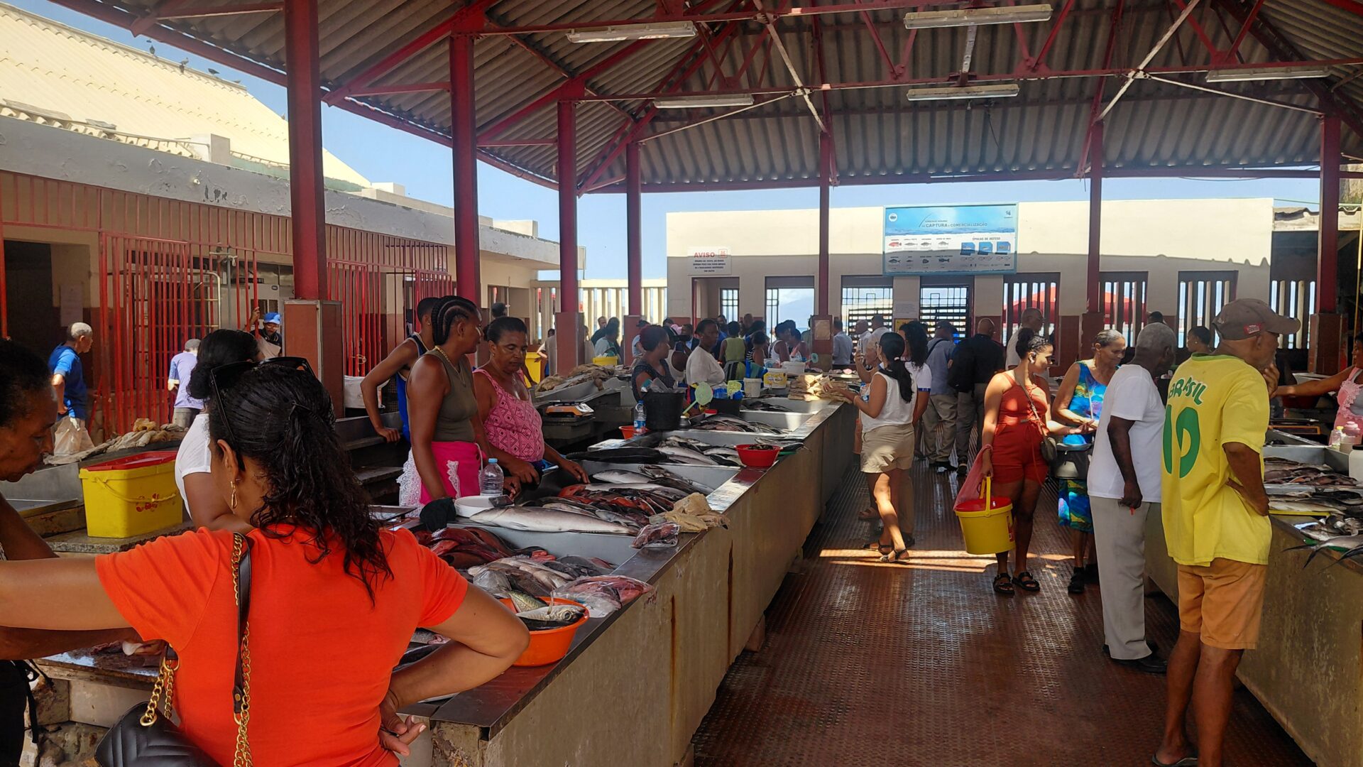 Ministro apela a rápido assentamento das peixeiras para avançar com obras no Mercado de Peixe de São Vicente